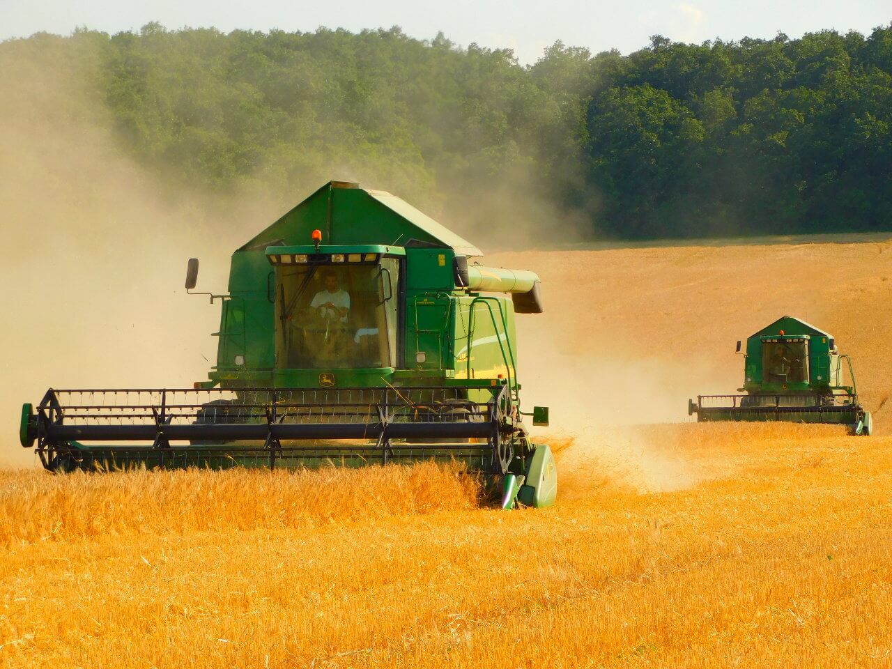 agrokez betakaritas 106